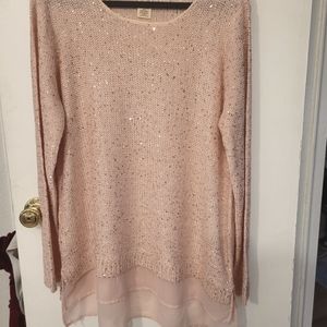 Sparkley semi sheer sweater top